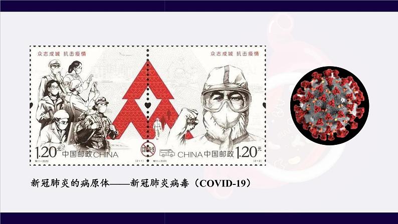 北师大版八上生物18.2《微生物与人类的关系》课件+视频05