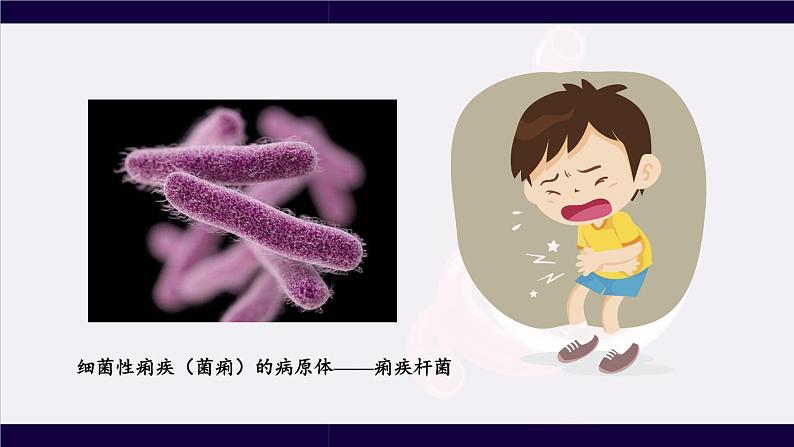北师大版八上生物18.2《微生物与人类的关系》课件+视频06