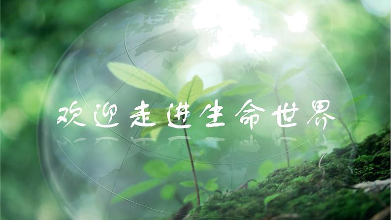 北师大版七年级上生物课件++绪论（走进生命世界）+（24张PPT）01