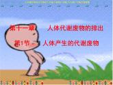 义务教育教科书生物学七年级下册第11章第1节人体产生的代谢废物课件