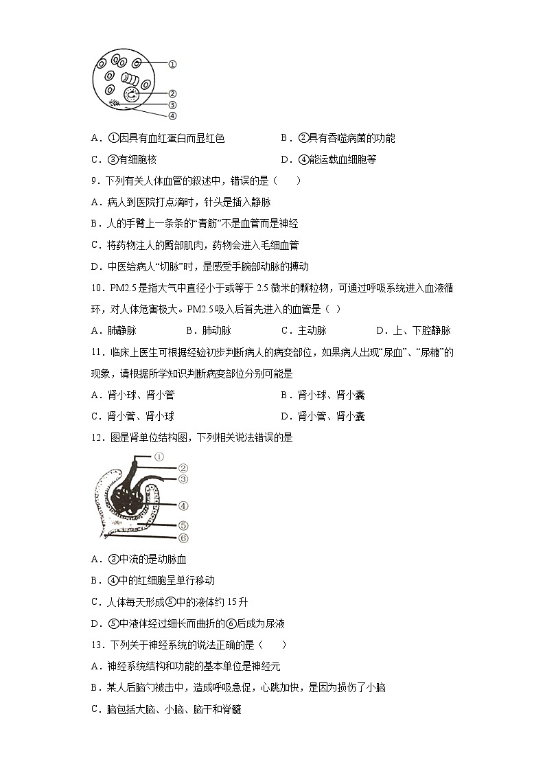 辽宁省盘锦市大洼区2021-2022学年七年级下学期期末生物试题(含答案)02