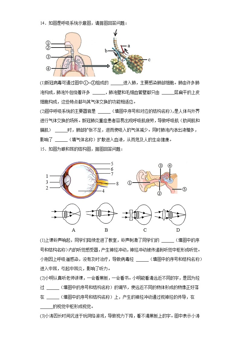 辽宁省沈阳市沈河区2021-2022学年七年级下学期期末生物试题(含答案)03