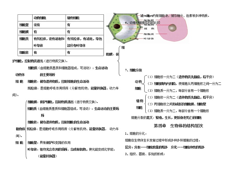 七年级上册复习提纲+2021--2022学年北师大版生物第3页