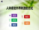 人教版七年级生物下册第六章第一节人体对外界环境的感知课件（共19页）