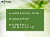 人教版七年级生物下册第六章第一节人体对外界环境的感知课件（共19页）