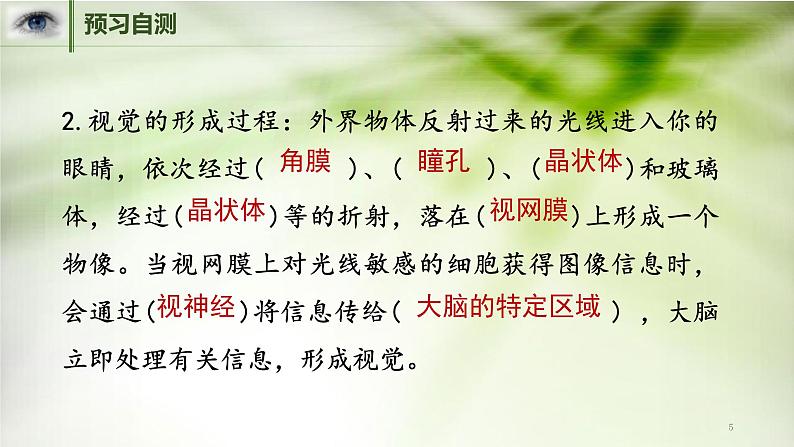 人教版七年级生物下册第六章第一节人体对外界环境的感知课件（共19页）第5页