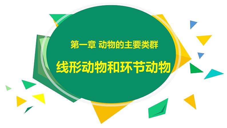 初中生物人教版 (新课标)八年级上册  5-1-2 线形动物和环节动物第1页