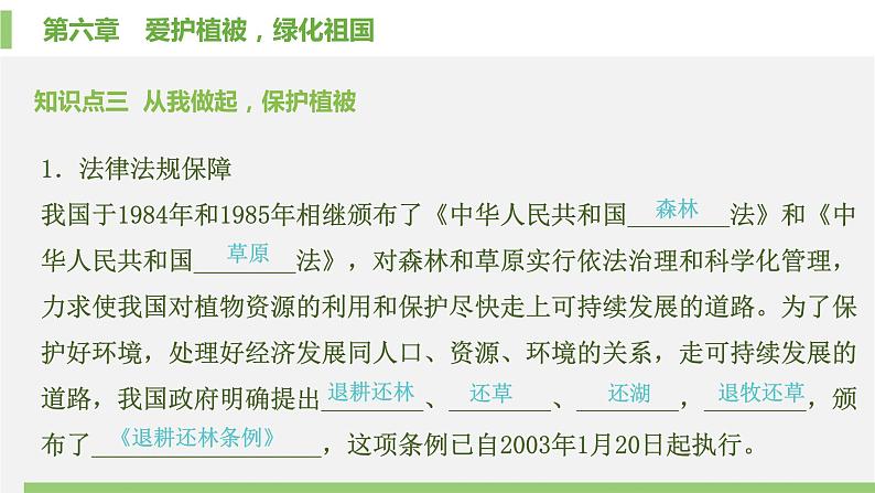 初中生物人教版 (新课标)七年级上册 第三单元 第六章  爱护植被，绿化祖国 课件05