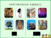 七年级生物 生物的特征 课件