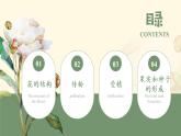 七年级生物 3.2.3开花和结果 课件