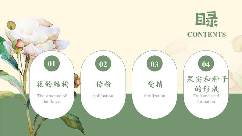 七年级生物 3.2.3开花和结果 课件03