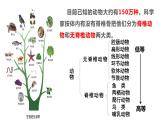 5.1.1 腔肠动物和扁形动物 课件
