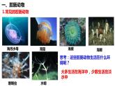 5.1.1 腔肠动物和扁形动物 课件