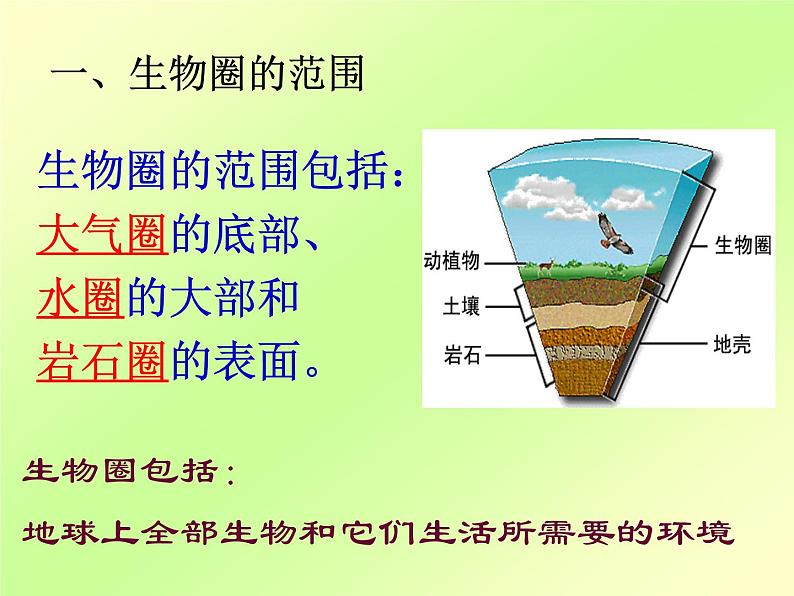 人教版七年级上册生物  1.2.3 生物圈是最大的生物系统 课件06