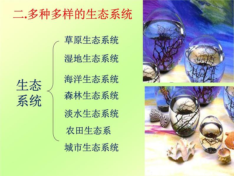 人教版七年级上册生物  1.2.3 生物圈是最大的生物系统 课件08