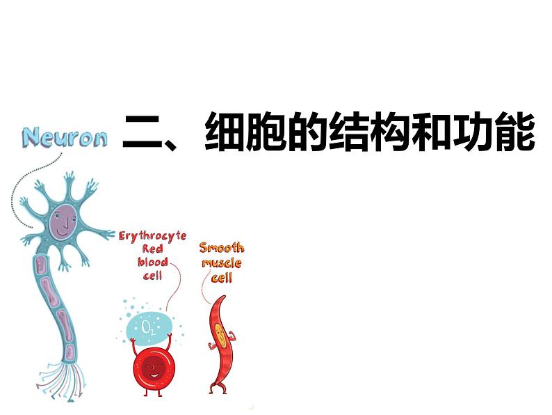 初中生物冀少版 七年级上册 1.2.1 细胞的结构与功能 课件第2页