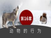 第一节 先天性行为和后天学习行为 课件