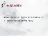第一节 先天性行为和后天学习行为 课件