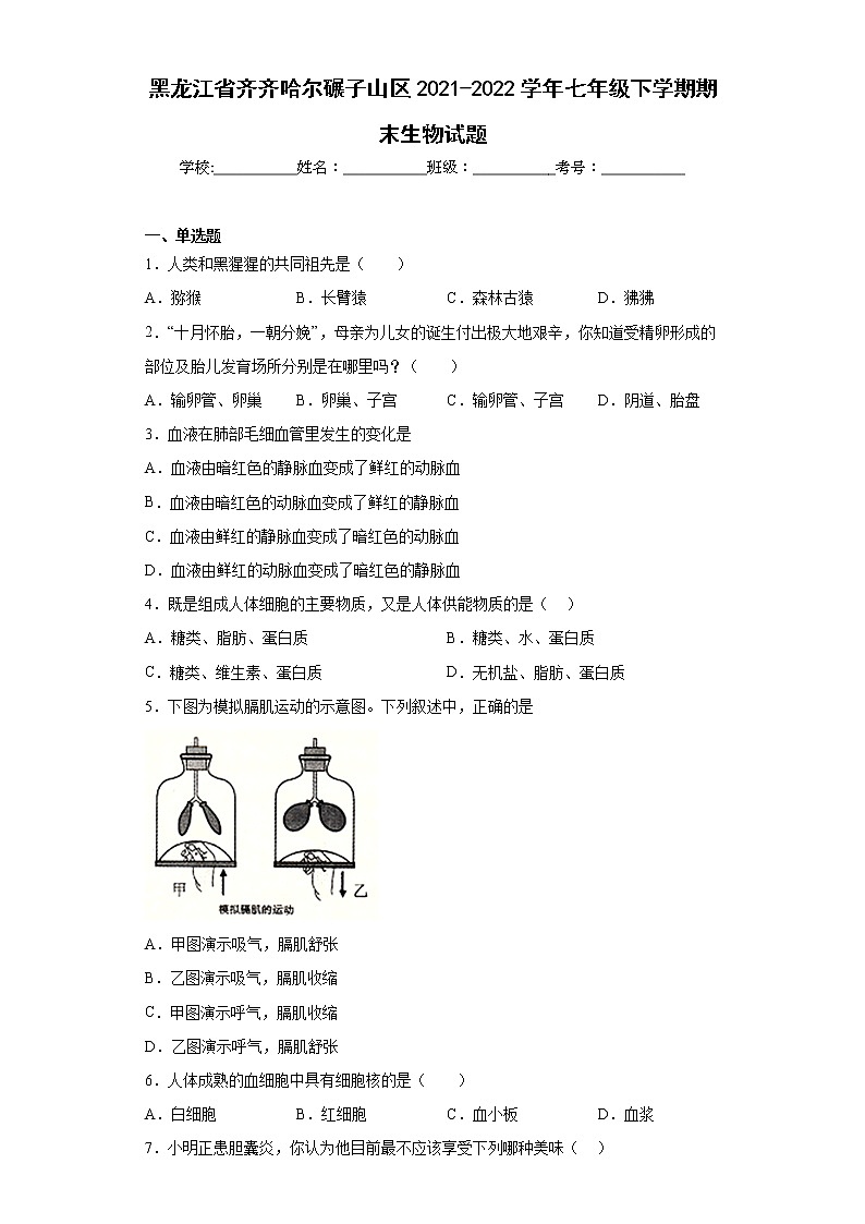 黑龙江省齐齐哈尔碾子山区2021-2022学年七年级下学期期末生物试题(含答案)01