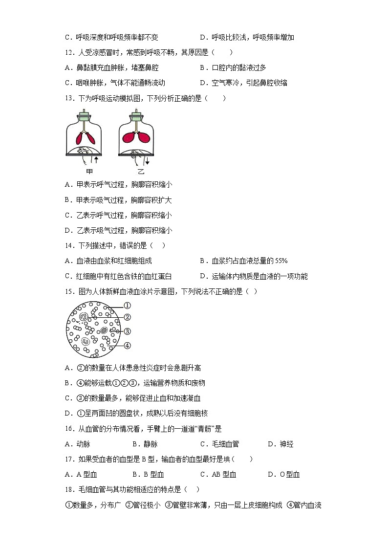 黑龙江省双鸭山市集贤县2021-2022学年七年级下学期期末生物试题(含答案)第2页