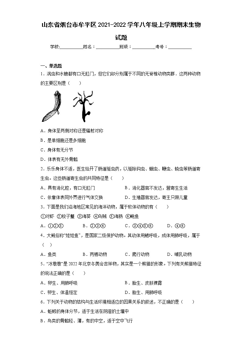 山东省烟台市牟平区2021-2022学年八年级上学期期末生物试题(含答案)01