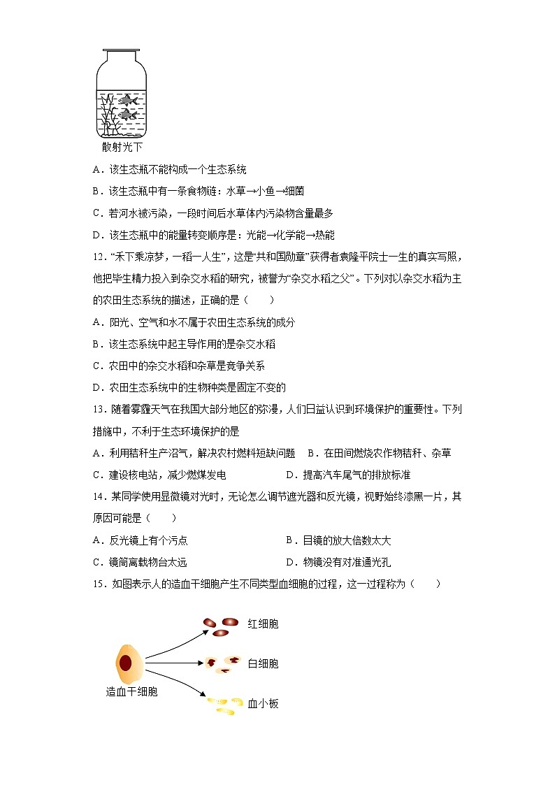 山东省烟台市牟平区（五四制）2021-2022学年六年级上学期期末生物试题(含答案)第3页