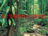 义务教育课程标准实验教科书 北师大版 第七单元第22章第2节《藻类、苔藓和蕨类植物》课件