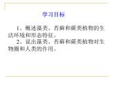 义务教育课程标准实验教科书 北师大版 第七单元第22章第2节《藻类、苔藓和蕨类植物》课件