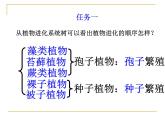 义务教育课程标准实验教科书 北师大版 第七单元第22章第2节《藻类、苔藓和蕨类植物》课件