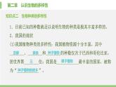 人教版初中生物八上 第六单元 第二章　认识生物的多样性课件