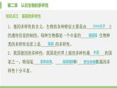 人教版初中生物八上 第六单元 第二章　认识生物的多样性课件