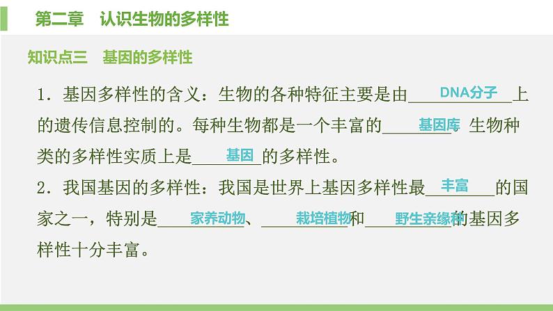 人教版初中生物八上 第六单元 第二章　认识生物的多样性课件第5页