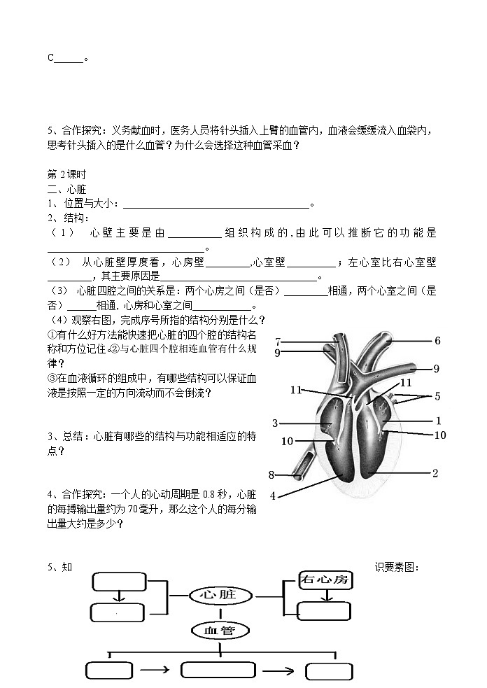 北师大版七下 第4单元第9章第2节血液循环导学案02