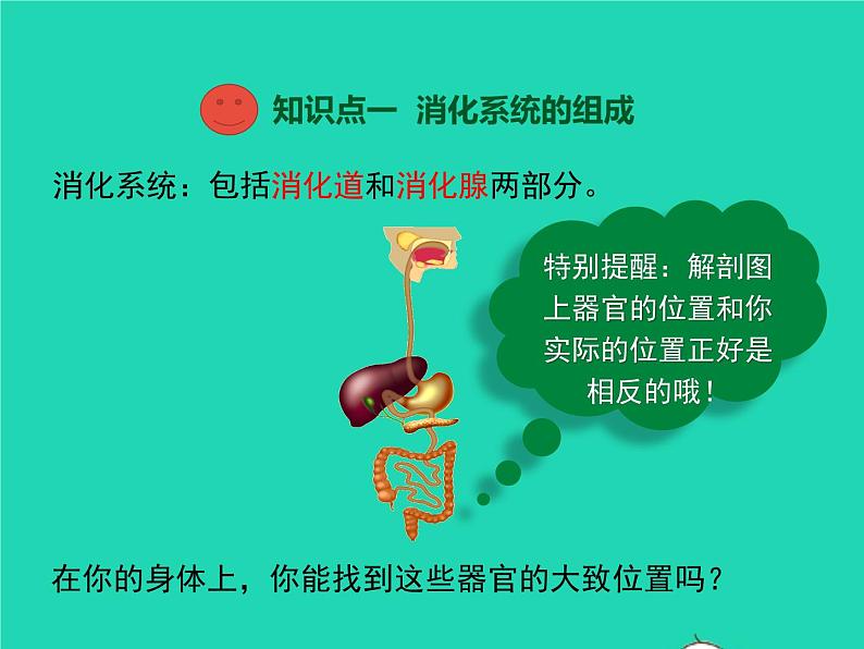 生物苏教版七年级下册同步教学课件第4单元 生物圈中的人第9章人的食物来自环境第2节人体的消化与的吸收1第3页