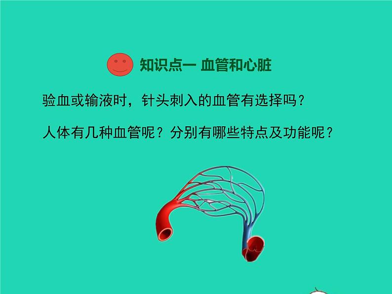 生物苏教版七年级下册同步教学课件第4单元 生物圈中的人第10章人体内的物质运输和能量供给第2节人体的血液循环1第3页