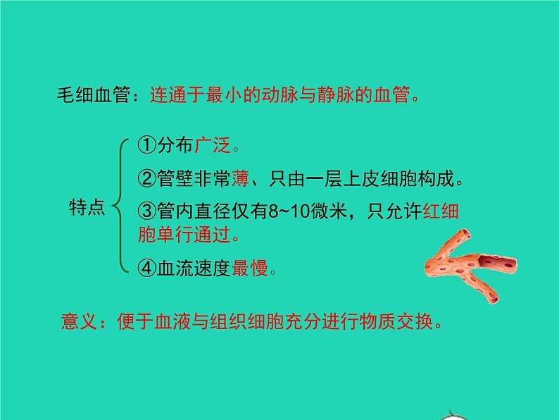 生物苏教版七年级下册同步教学课件第4单元 生物圈中的人第10章人体内的物质运输和能量供给第2节人体的血液循环1第6页