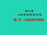 生物苏教版七年级下册同步教学课件第4单元生物圈中的人第9章人的食物来自环境第2节人体的消化与的吸收