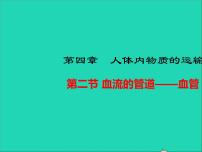 初中生物人教版 (新课标)七年级下册第二节 血流的管道──血管教学课件ppt