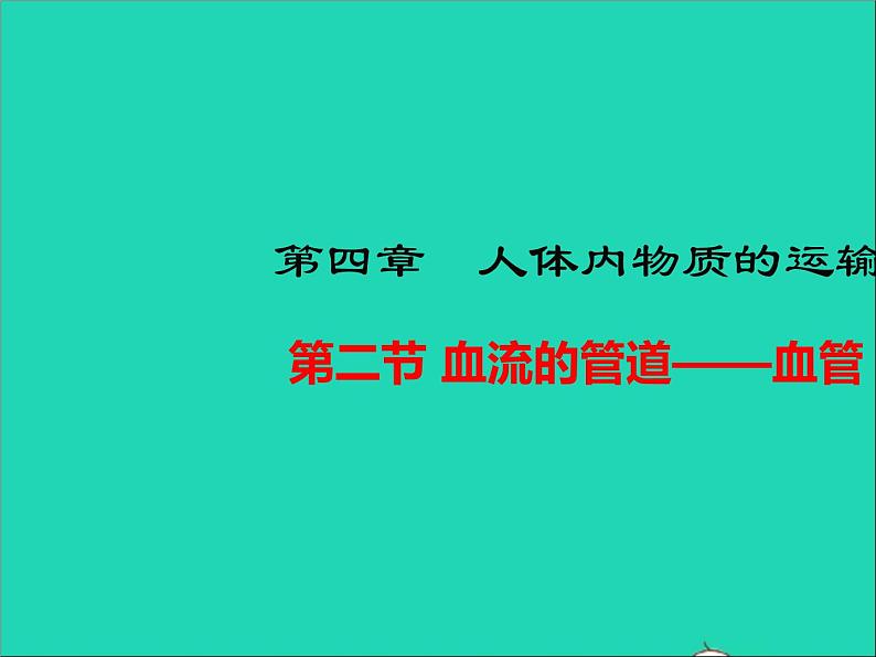 生物人教版七年级下册同步教学课件第4单元 生物圈中的人第4章人体内物质的运输第2节血流的管道-血管01