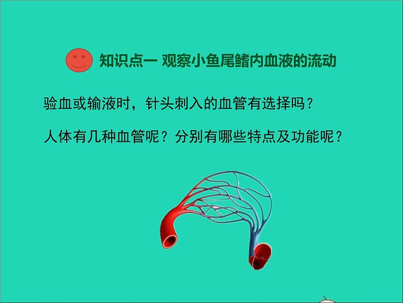 生物人教版七年级下册同步教学课件第4单元 生物圈中的人第4章人体内物质的运输第2节血流的管道-血管04