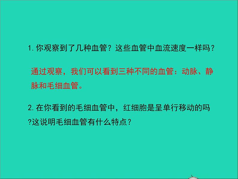 生物人教版七年级下册同步教学课件第4单元 生物圈中的人第4章人体内物质的运输第2节血流的管道-血管07