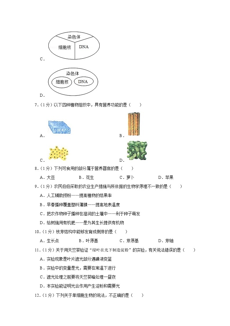 2021-2022学年甘肃省兰州二十九中七年级（上）期末生物试卷(含答案)02