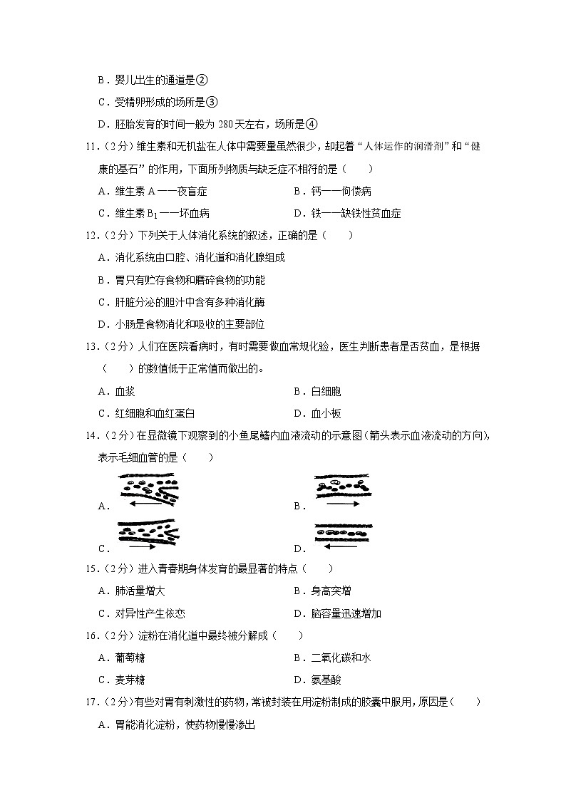 2021-2022学年甘肃省平凉七中七年级（下）期中生物试卷(含答案)02