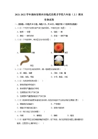 2021-2022学年湖南省郴州市临武县楚才学校八年级（上）期末生物试卷(含答案)