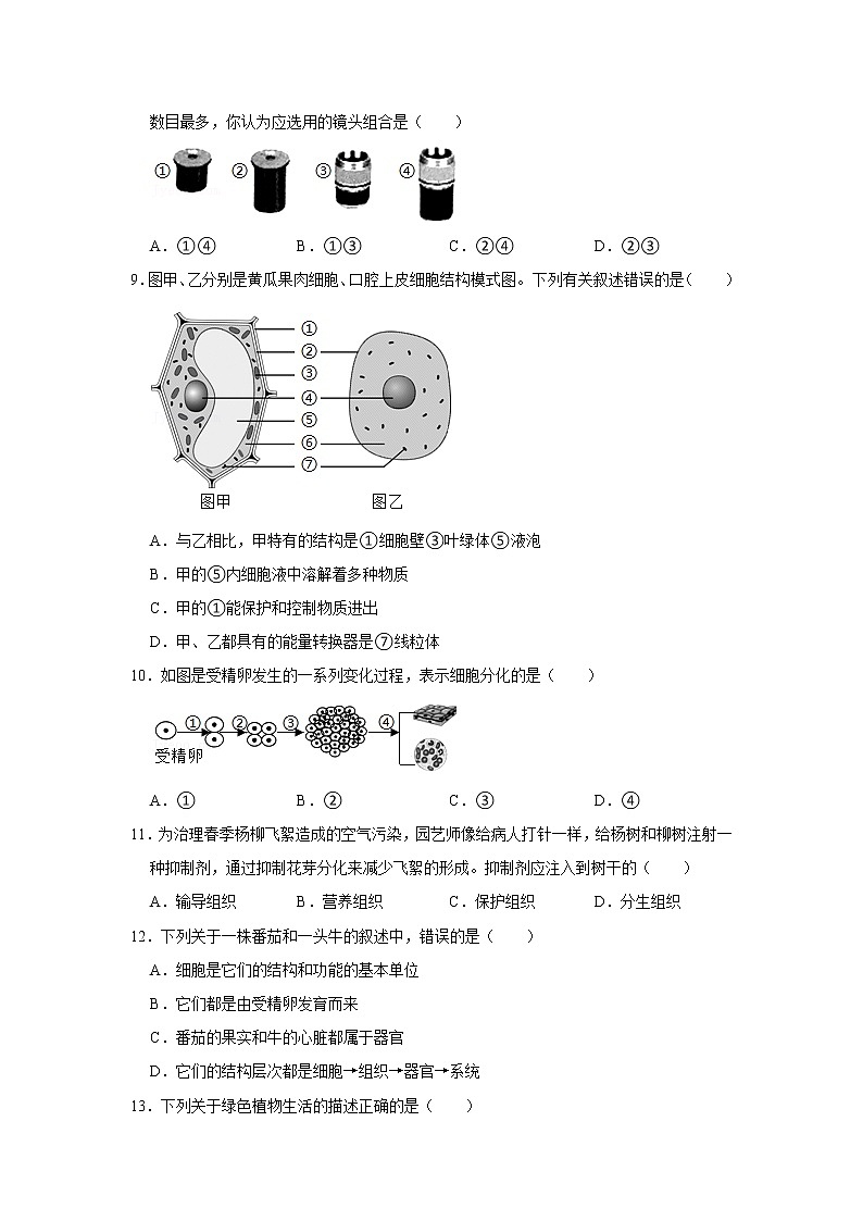 2021-2022学年江西省赣州市赣县区七年级（上）期末生物试卷(含答案)02