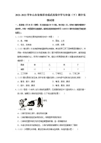 2021-2022学年山东省菏泽市成武实验中学七年级（下）期中生物试卷(含答案)