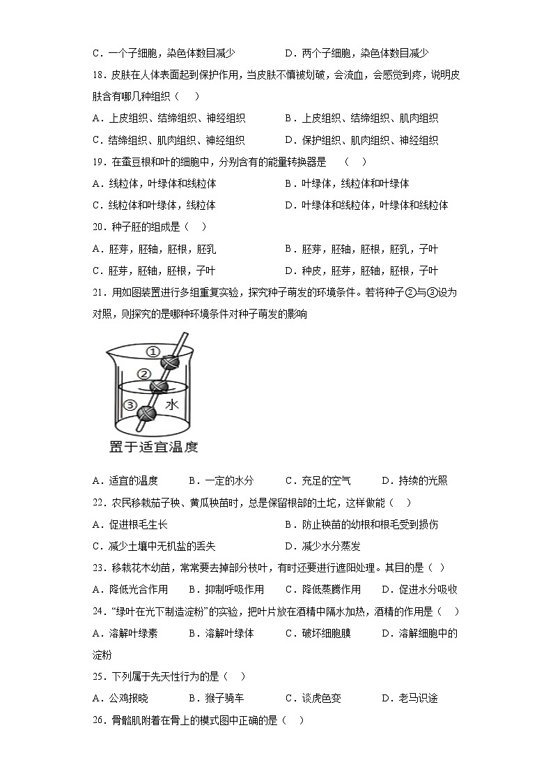 黑龙江省大庆市庆新中学2021-2022学年七年级下学期期中生物试题(含答案)03