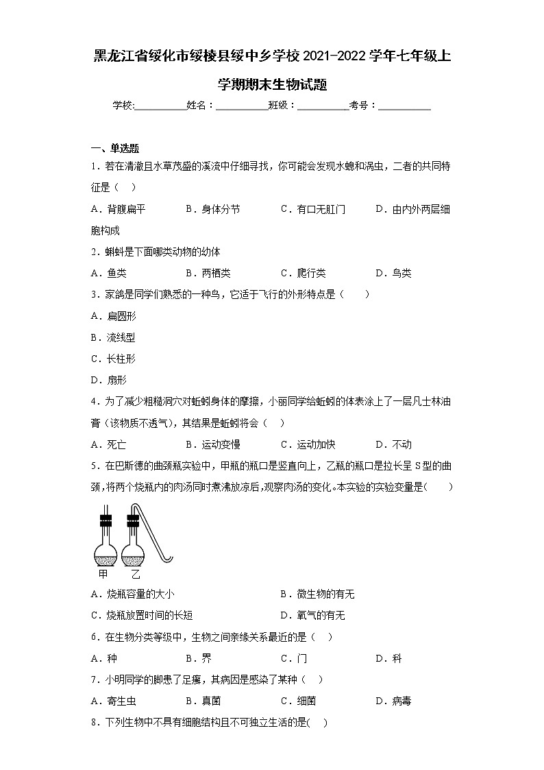 黑龙江省绥化市绥棱县绥中乡学校2021-2022学年七年级上学期期末生物试题(含答案)01