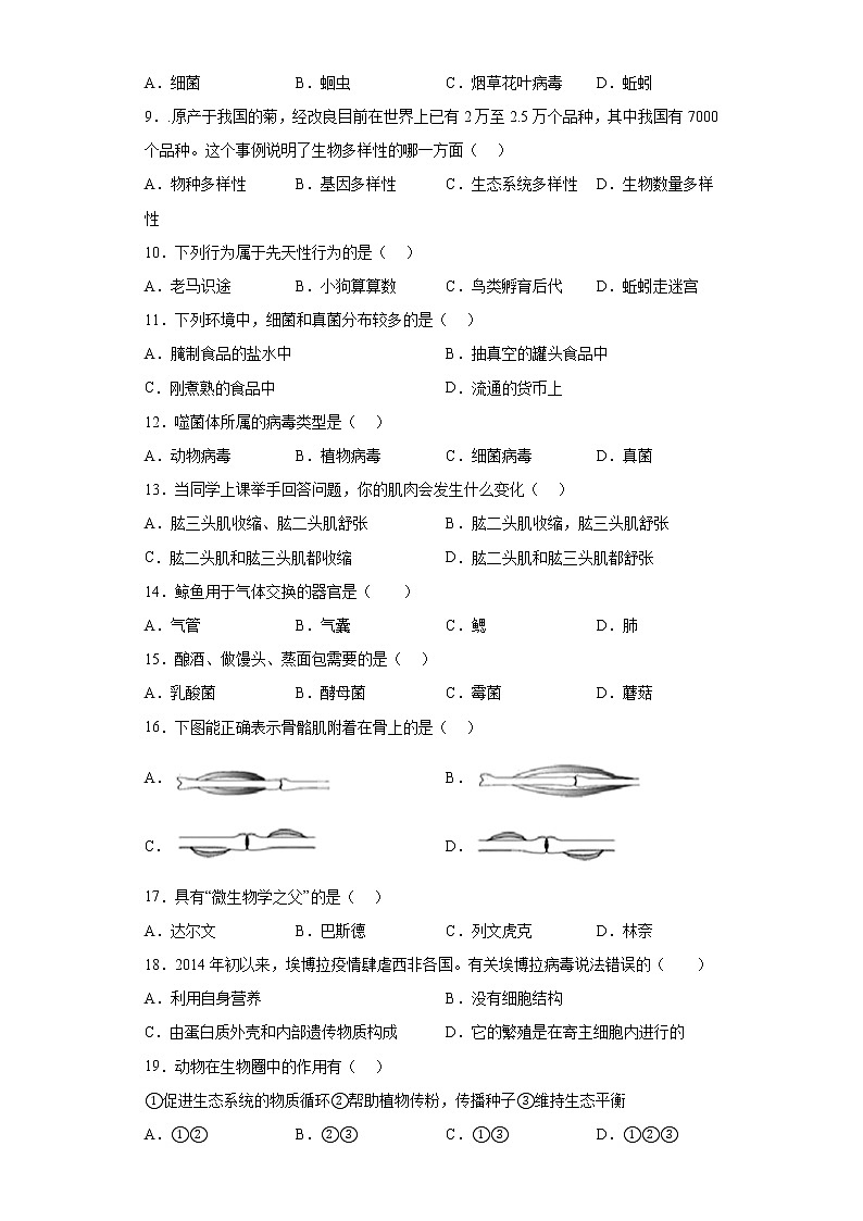 黑龙江省绥化市绥棱县绥中乡学校2021-2022学年七年级上学期期末生物试题(含答案)02