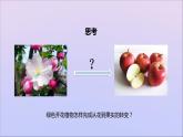 生物济南版八年级上册同步教学课件第4单元 物种的延续第1章绿色开花植物的一生第2节传粉与受精